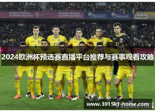 2024欧洲杯预选赛直播平台推荐与赛事观看攻略